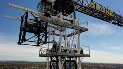 Crane Jumps Time-Lapse
