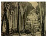 Storyboard reference for INT. PAINTINGS/PHOTOGRAPHS