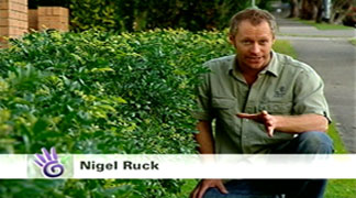 Graeme Beck filming the Garden Gurus presenter on location in Sydney for Channel 9