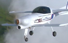 Eagle x flying